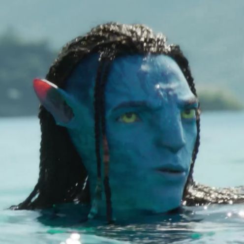 ni 🇧🇷 🇵🇸 tweet media