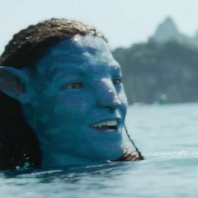 ni 🇧🇷 🇵🇸 tweet media