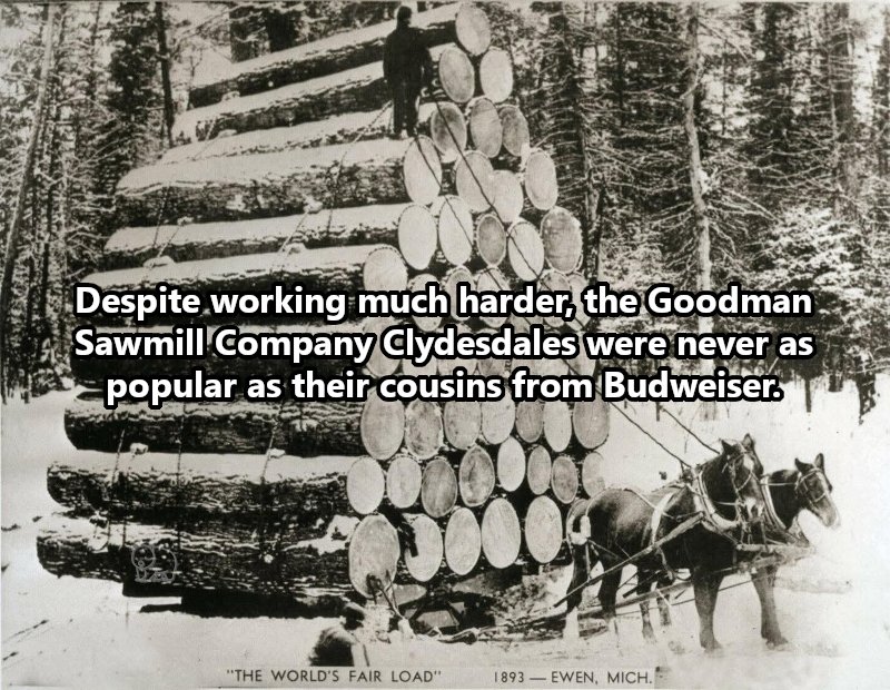 MisunderstoodHistory tweet media