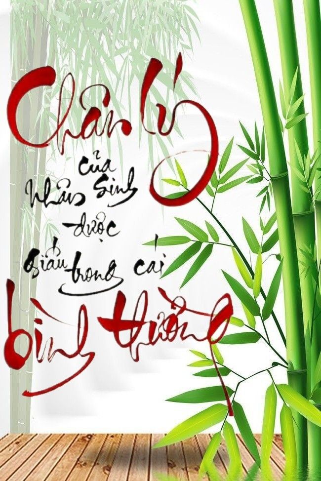 levu919's tweet photo. Chân Lý Bình Thường https://t.co/6sZ2kLy2X2