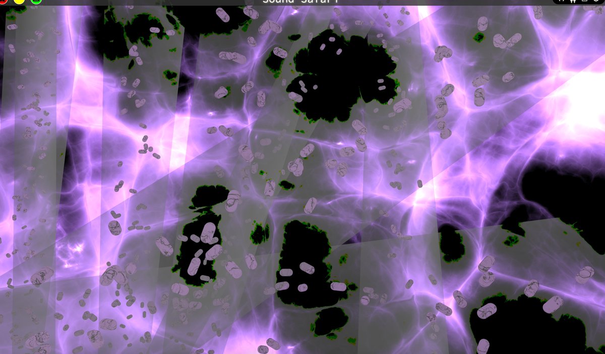 SoundSafari tweet media