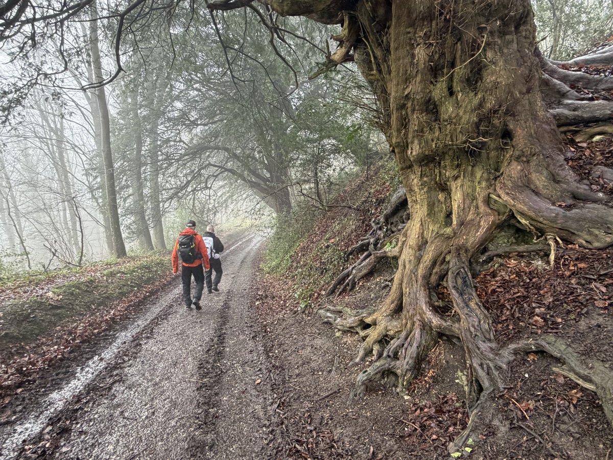 Manel Roura 🎗 tweet media