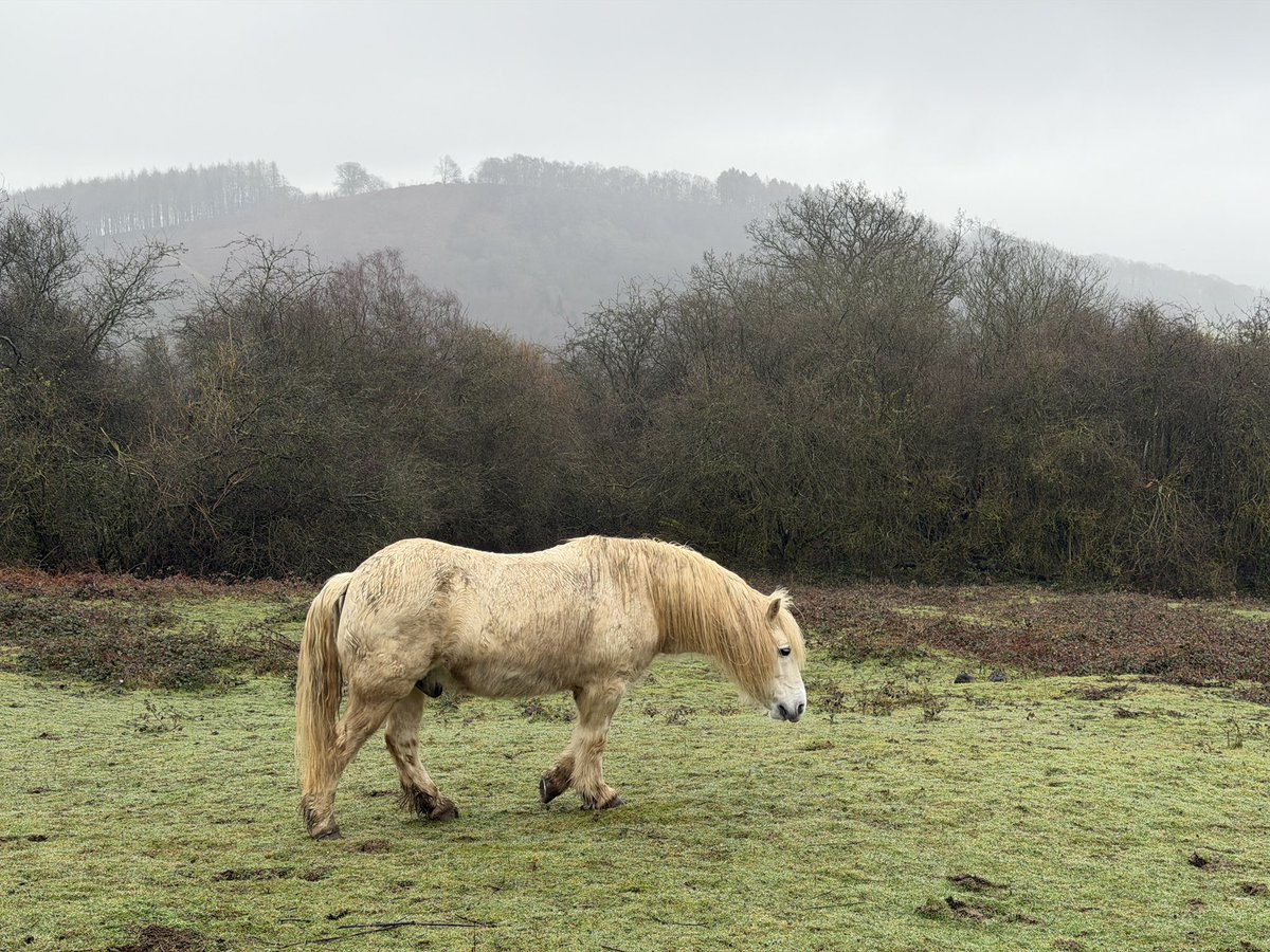 Manel Roura 🎗 tweet media