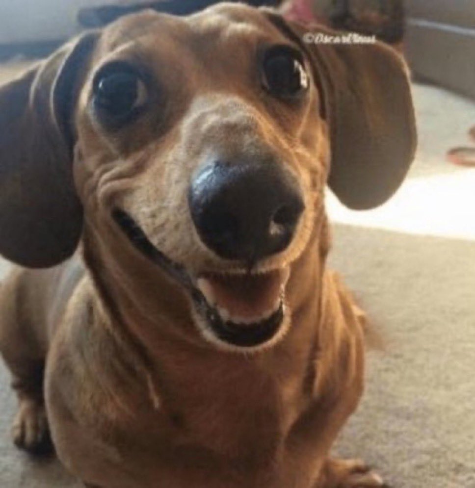 thalezin tweet media