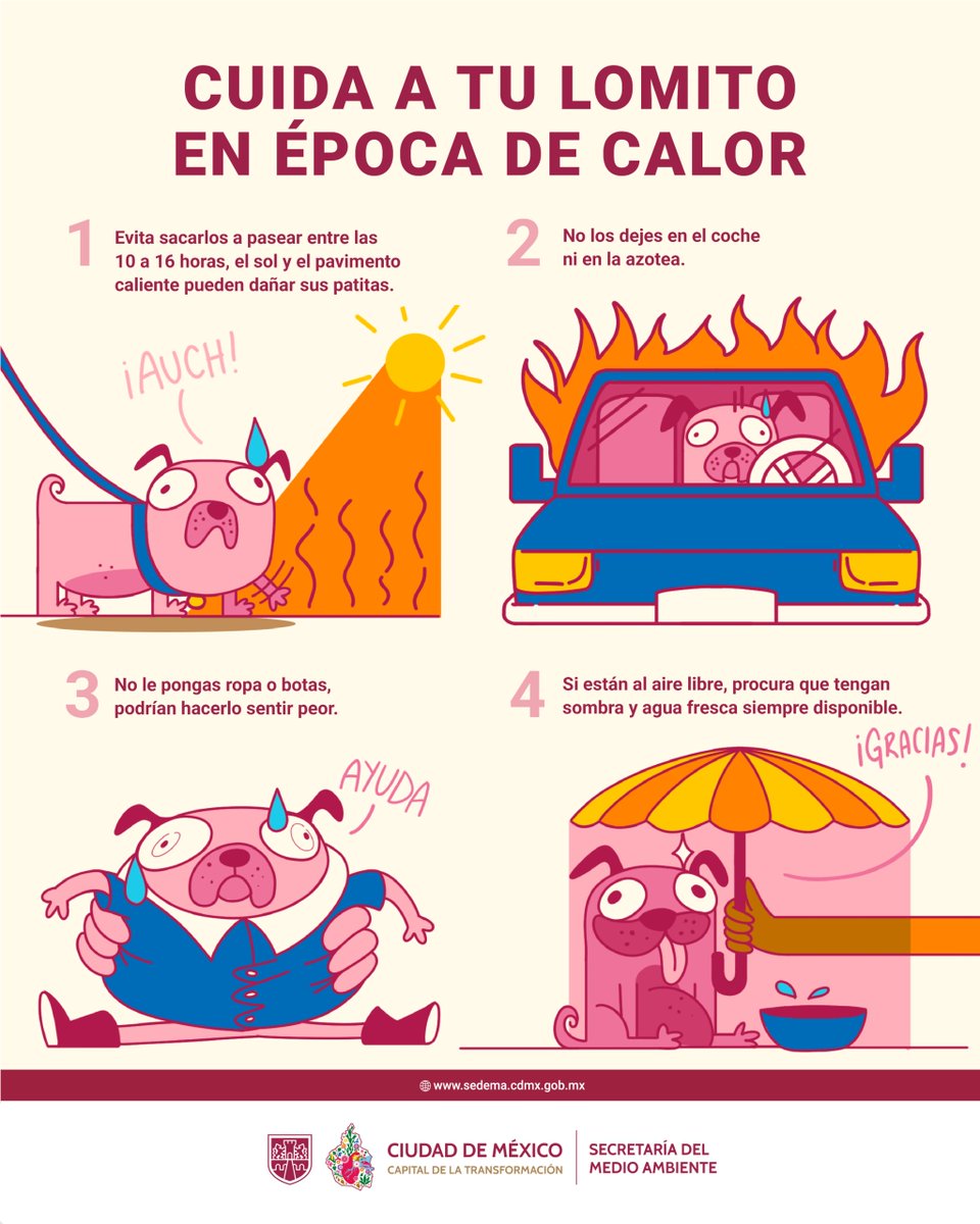 La temporada de calor está por comenzar, recuerda proteger a tu lomito.

Un pequeño descuido puede afectar su salud: ¡que disfrute el calor contigo, pero siempre seguro y fresco!