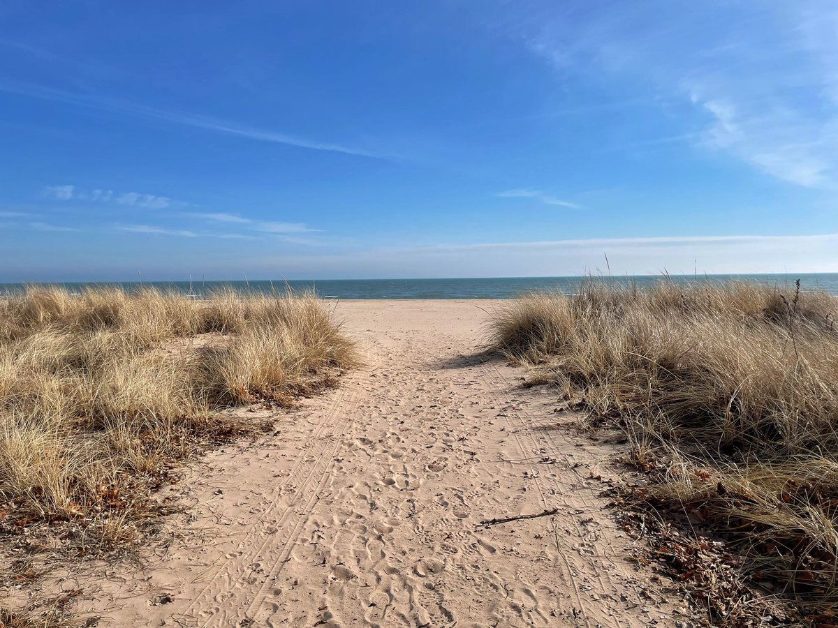 Brooke Brighton tweet media