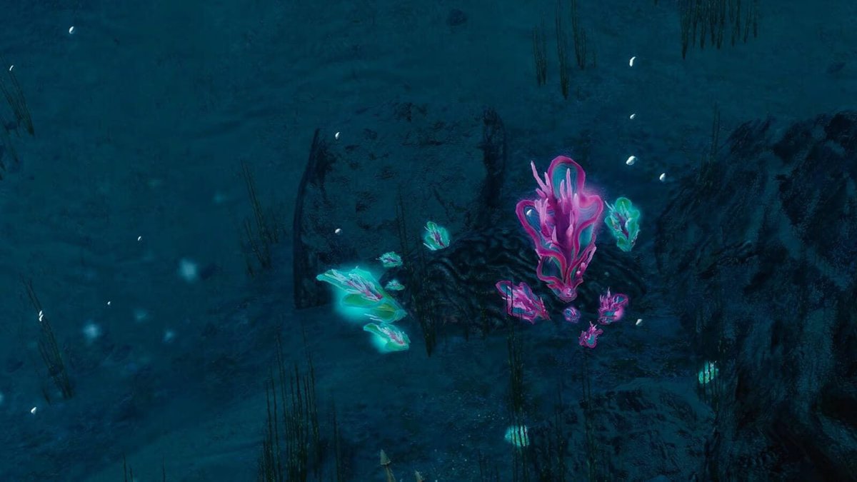 Le Bus Magique tweet media