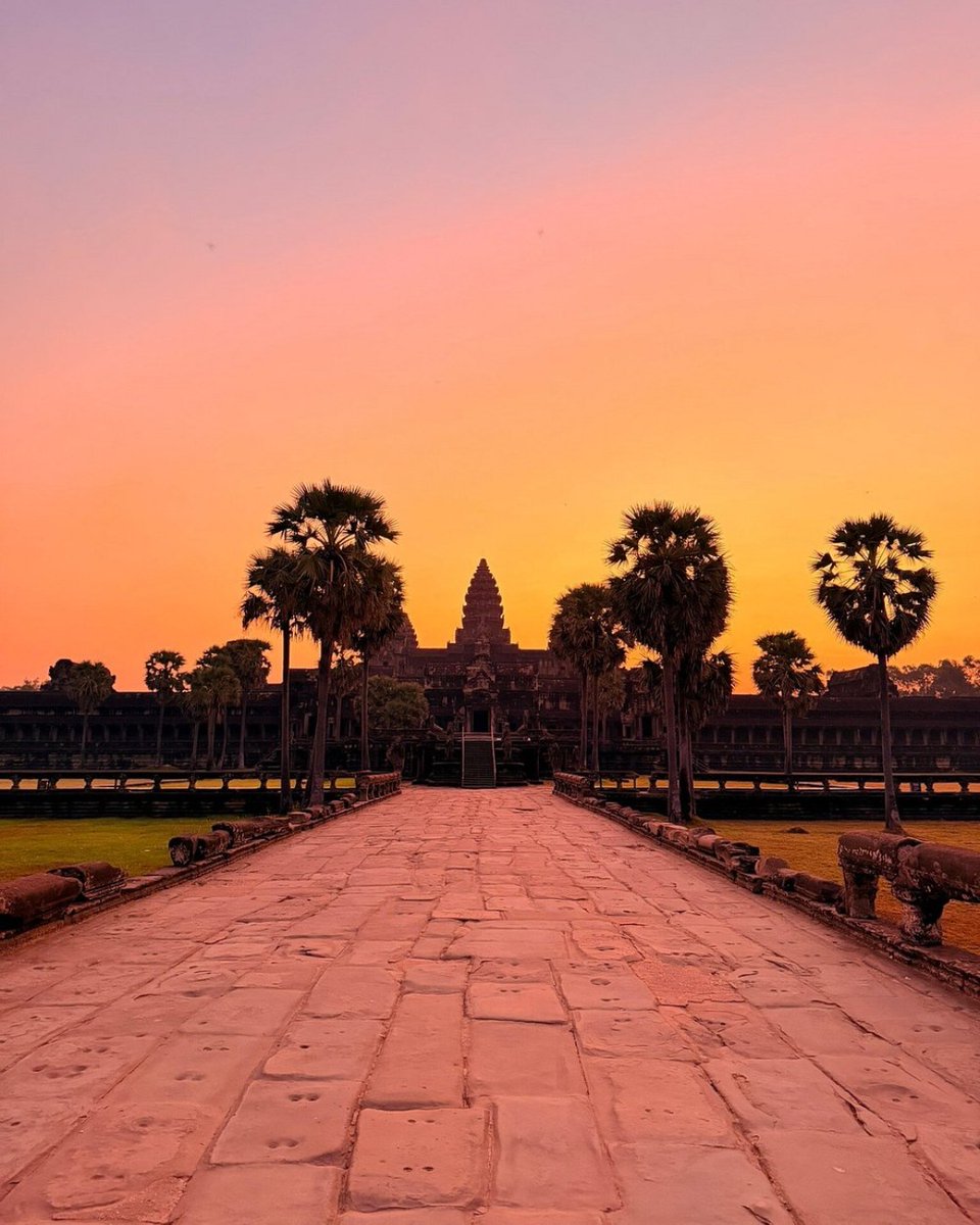 Tripadvisor tweet media
