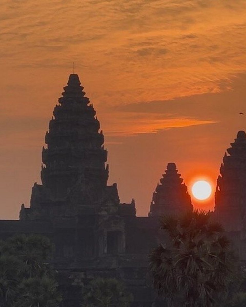 Tripadvisor tweet media