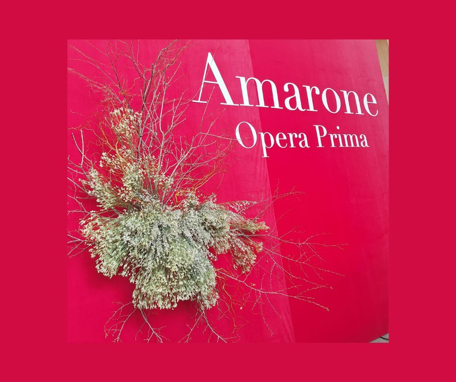 MauroBertolli's tweet photo. Amarone 2021,annata presentata ad Amarone Opera Prima 2026
Su https://t.co/V1OGeJxg69 articolo con note di degustazione
#boscainicarlo #ilatiummorini #dominiveneti
#rubinellivajol #sabaini #secondomarco #roccolograssi #zymé #valentinacubi #AmaroneOperaPrima #italiadelvinobertolli https://t.co/7jax4dz1wa