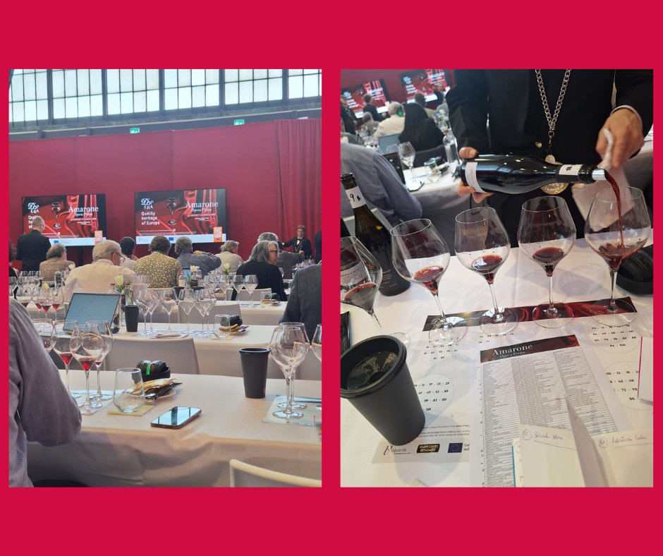 MauroBertolli's tweet photo. Amarone 2021,annata presentata ad Amarone Opera Prima 2026
Su https://t.co/V1OGeJxg69 articolo con note di degustazione
#boscainicarlo #ilatiummorini #dominiveneti
#rubinellivajol #sabaini #secondomarco #roccolograssi #zymé #valentinacubi #AmaroneOperaPrima #italiadelvinobertolli https://t.co/7jax4dz1wa