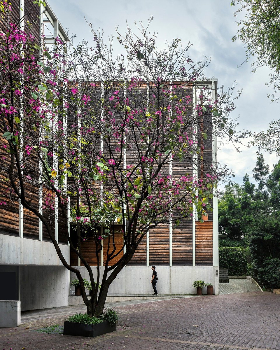 archistar1's tweet photo. Two Houses in Reserva Bezares, 2018
Mexico City, Mexico
#architect Manuel Cervantes
#photography J. Granada
#archiecture #design https://t.co/EfYlrAzi0j