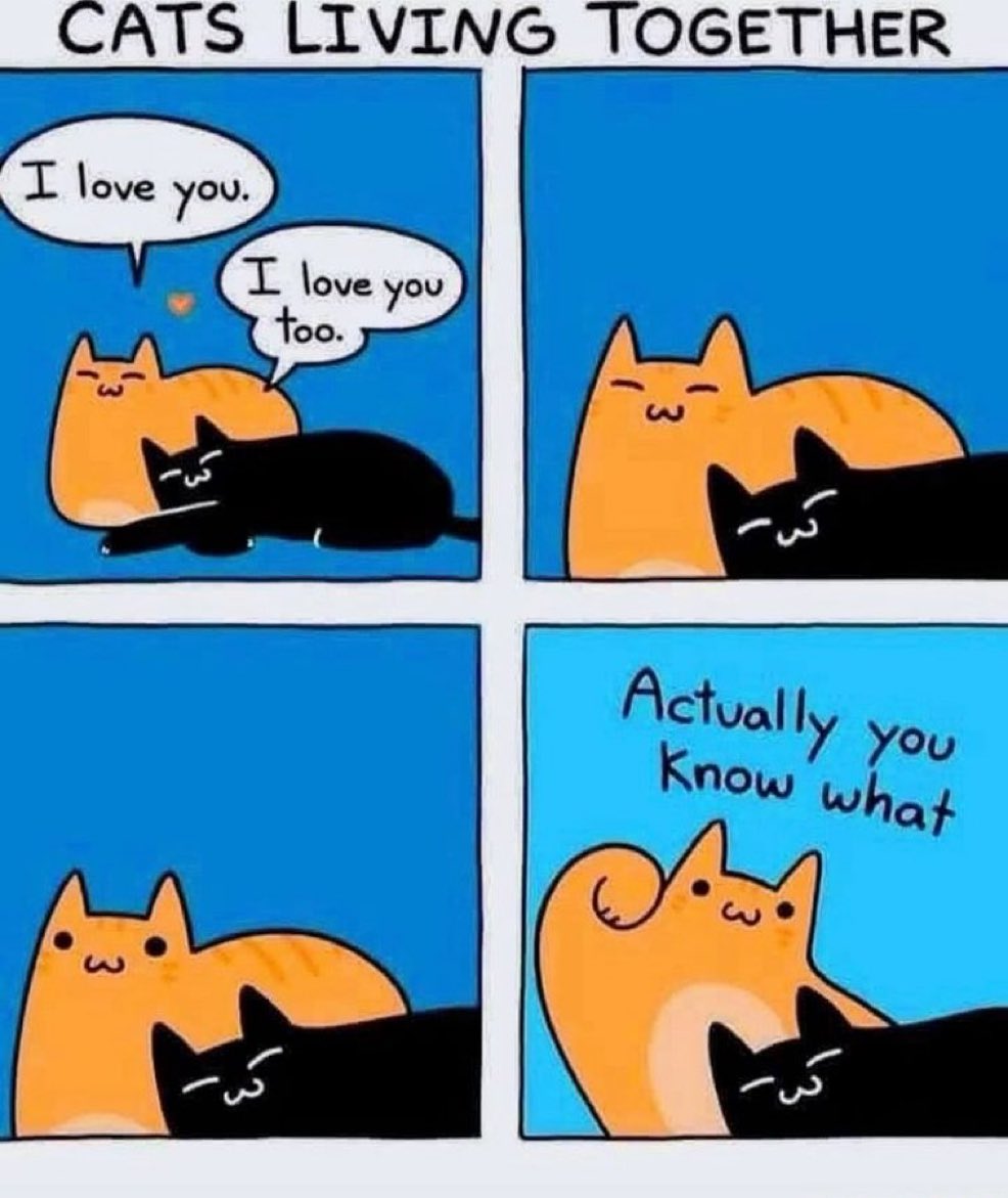 contents that ll heal your depression 🌻 (@catshealdeprsn) on Twitter photo 