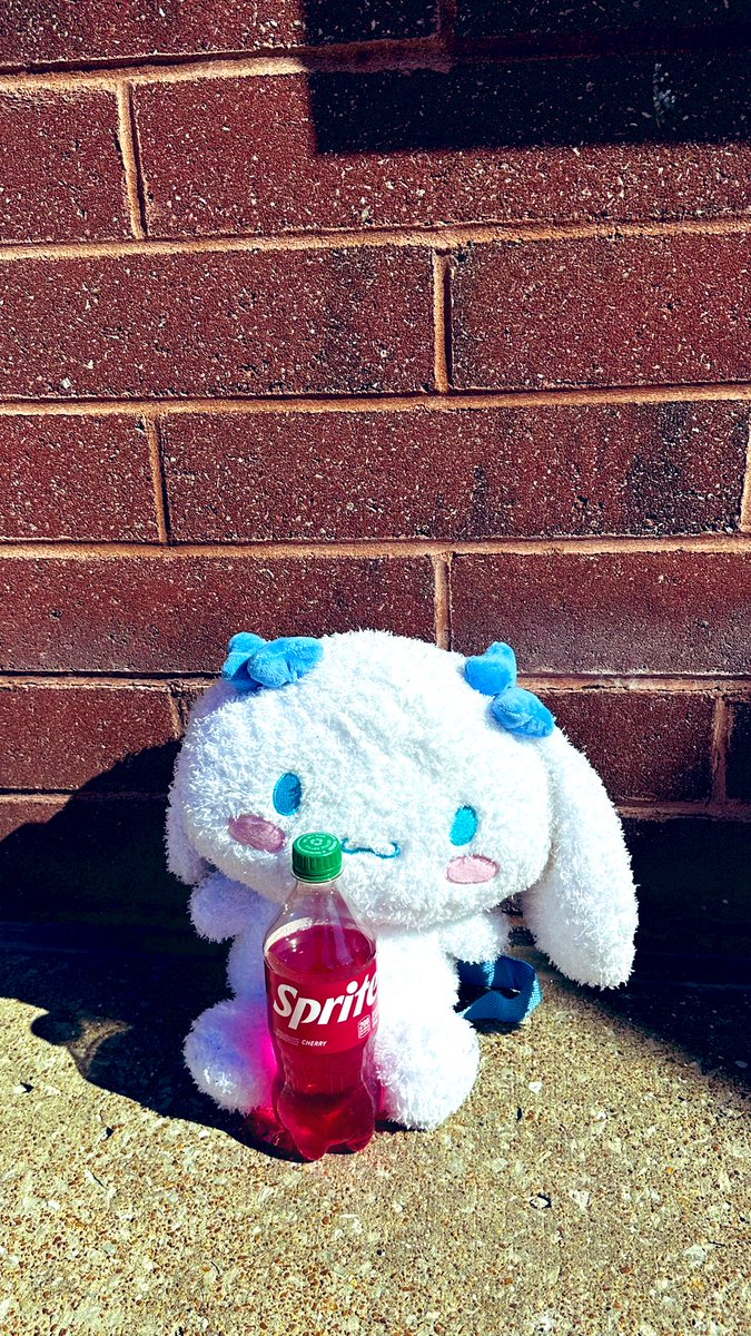 ๐ฆ๏ธ Sannah ๐ท tweet media