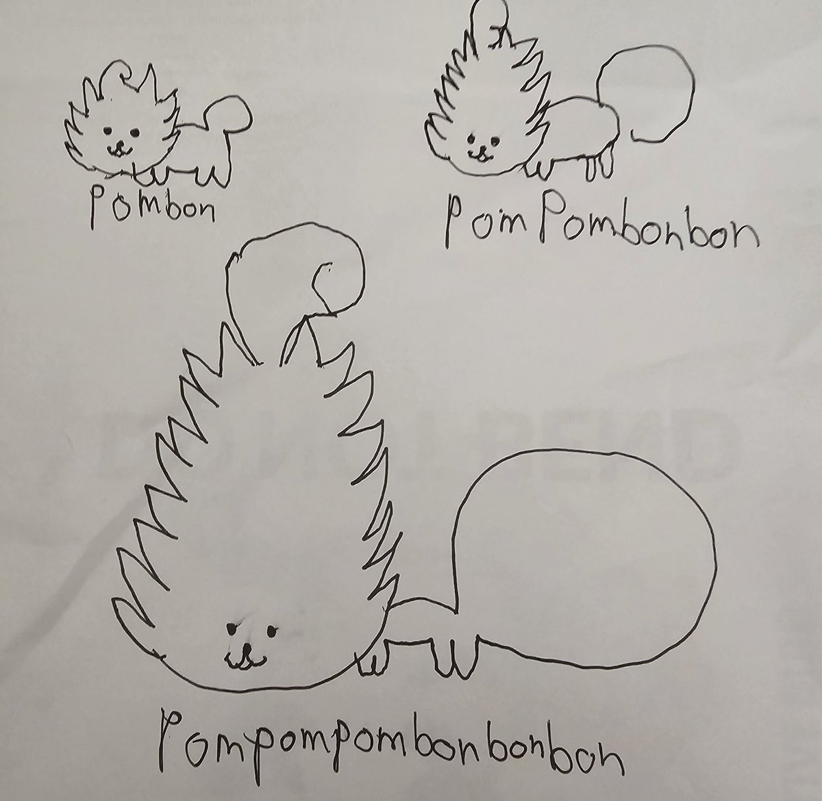 I had a vision for pombon's evolution #PokemonWindsWaves
