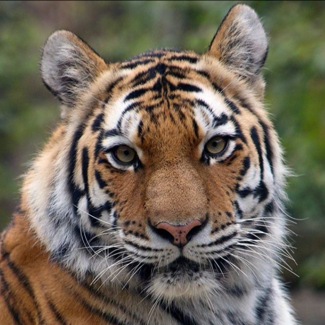 learn and prepare tweet media