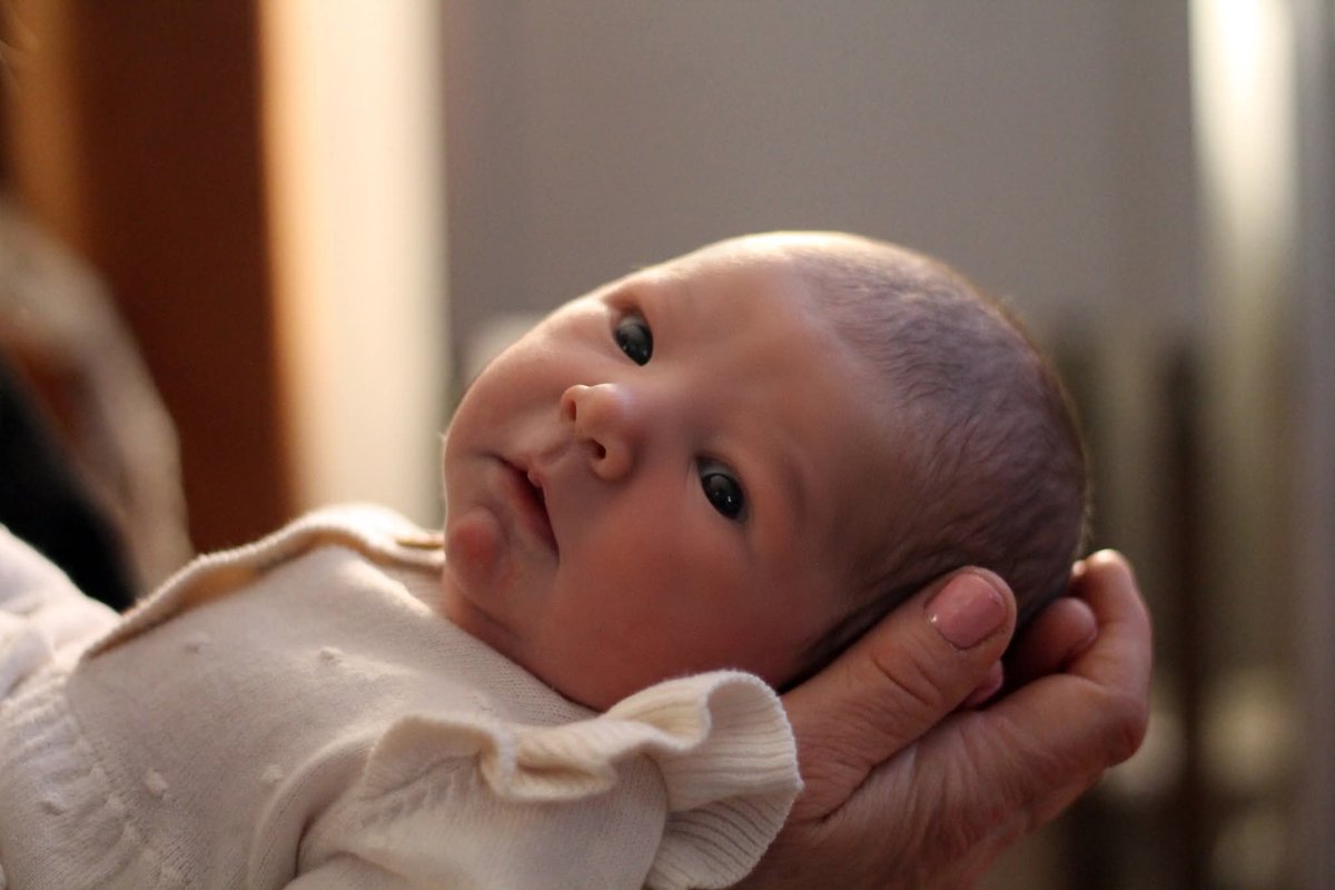 Eric F. Koehler tweet media