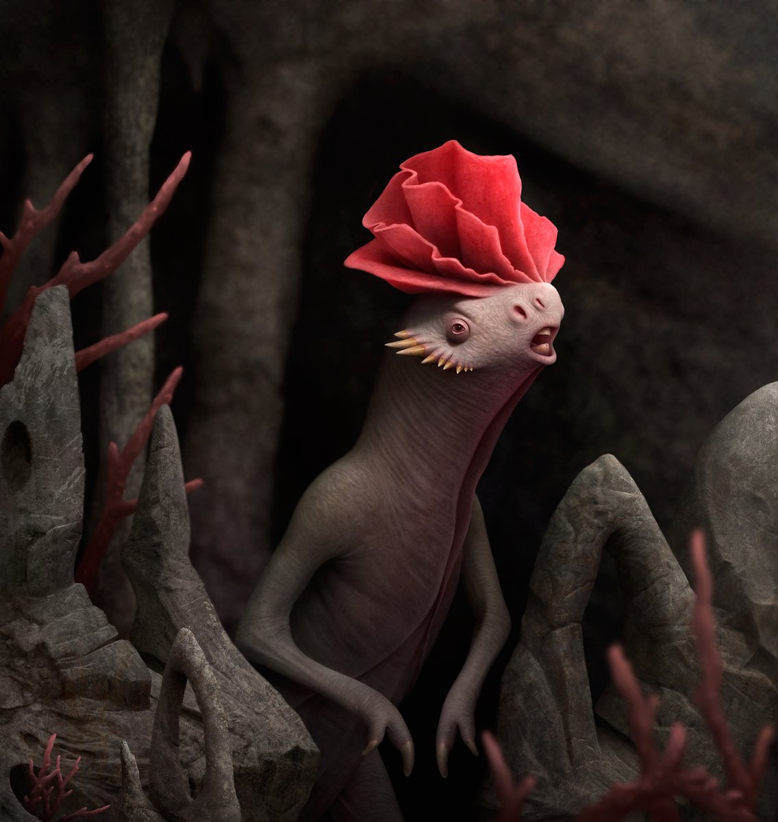 Roberto Ribeiro Padula tweet media