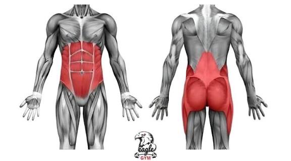 hanouf | coach 🏋🏻‍♀️ tweet media