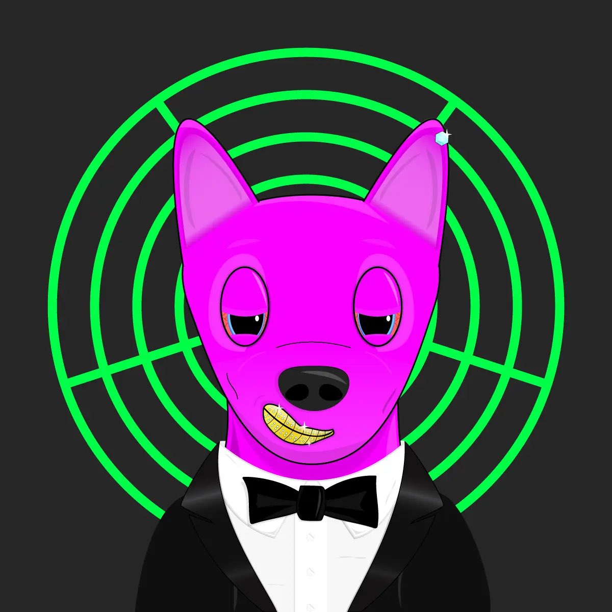 vince.algo tweet media