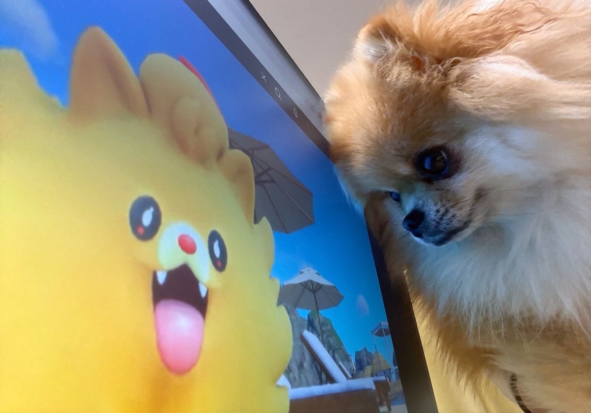 Representatividade Pokémon importa ❤️ #PokemonVentosOndas