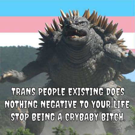 AvistaVarlowe's tweet photo. #protrans 
#prolgbtqia🏳️‍🌈 
#prohumanrights 

I’m #nonbinary https://t.co/vwPKk84mhi