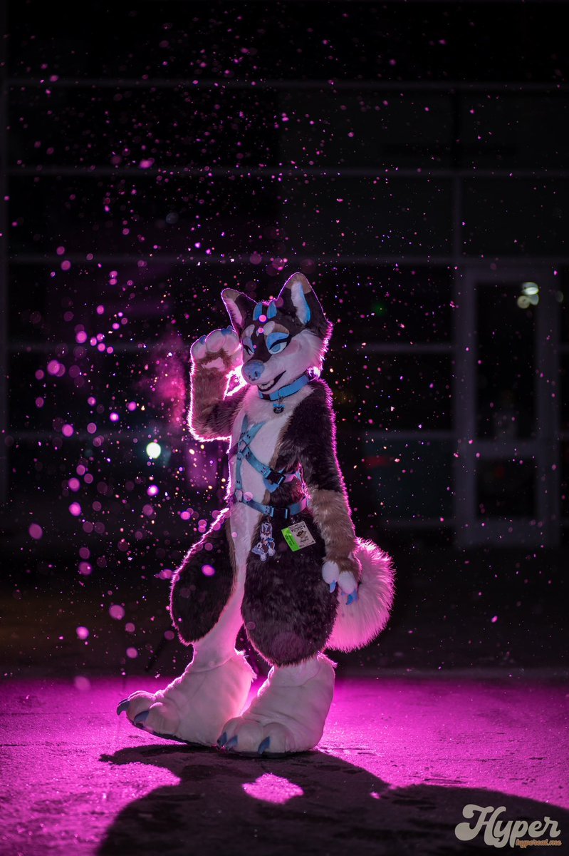 Maru 🤍 tweet media