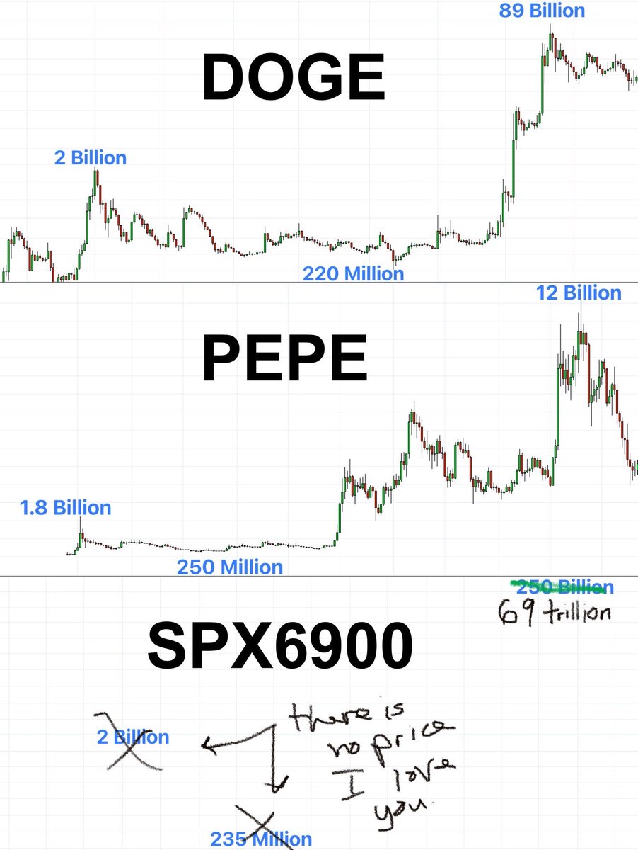 spacevegetable tweet media