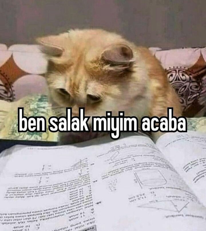 Coğrafyayı anlamaya çalışırken tarihi tarihi anlamaya çalışırken coğrafyayı unutuyorum vatandaşlığı anlamaya çalışırken de ikisini birden unutuyorum