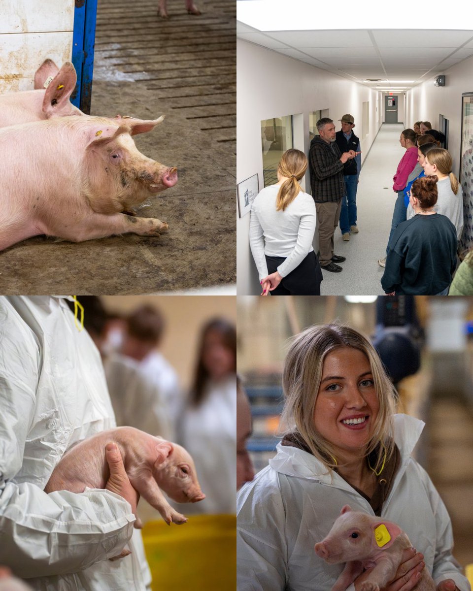 SDSU College of Ag, Food & Environmental Sciences tweet media