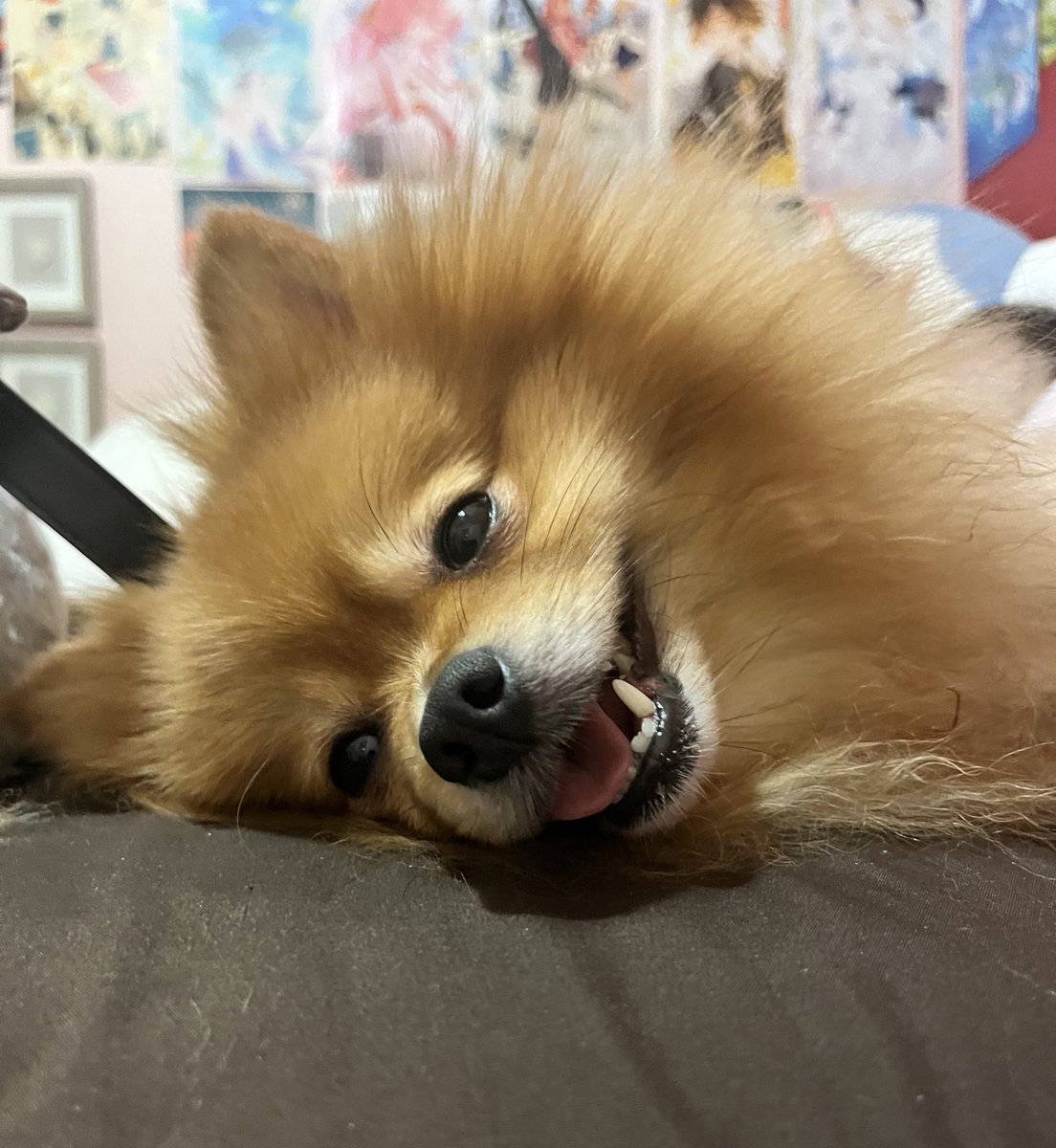 Nyantsume 🐈🪷 tweet media