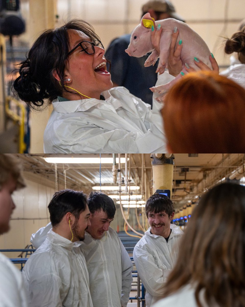 SDSU College of Ag, Food & Environmental Sciences tweet media