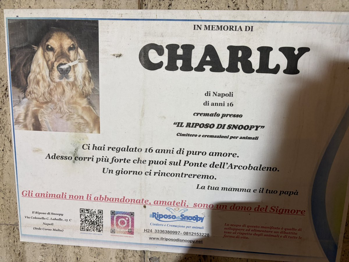 #Napoli annuncio funebre per il canetto <a href="/rumba_magica/">Malamor </a> <a href="/maolindas/">🐾CLAUDIA🐾</a> <a href="/ilnonequilibrio/">Ledowsky</a>