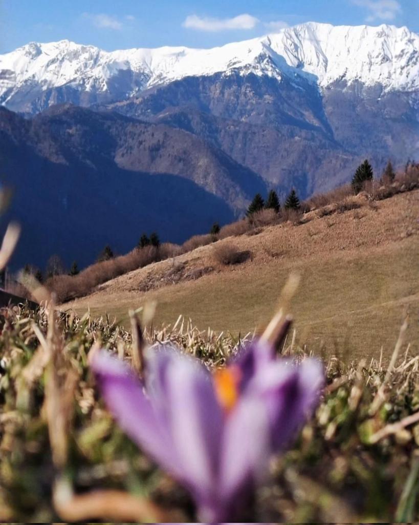 Visit Šentviška planota tweet media