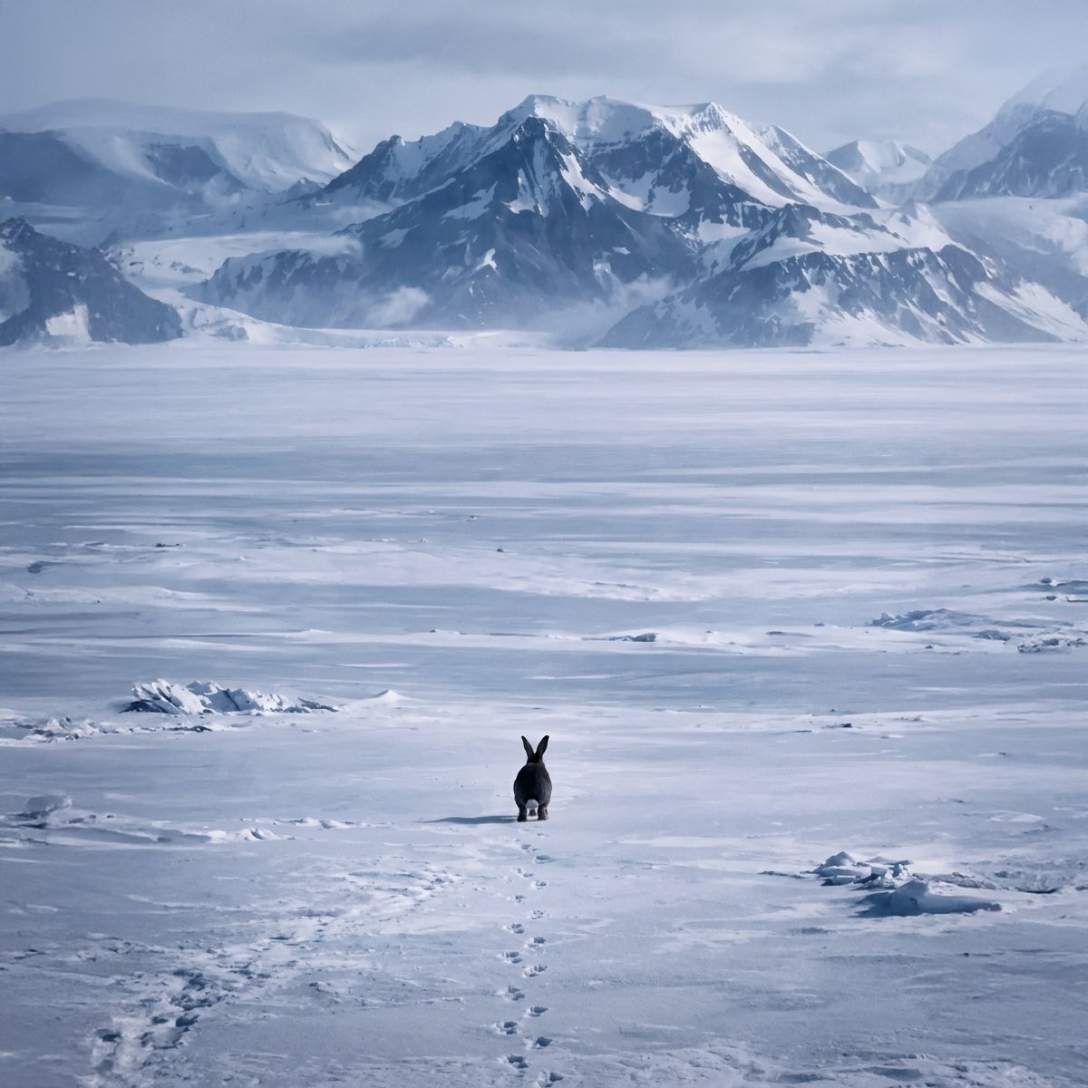 THE MAN 💀 tweet media