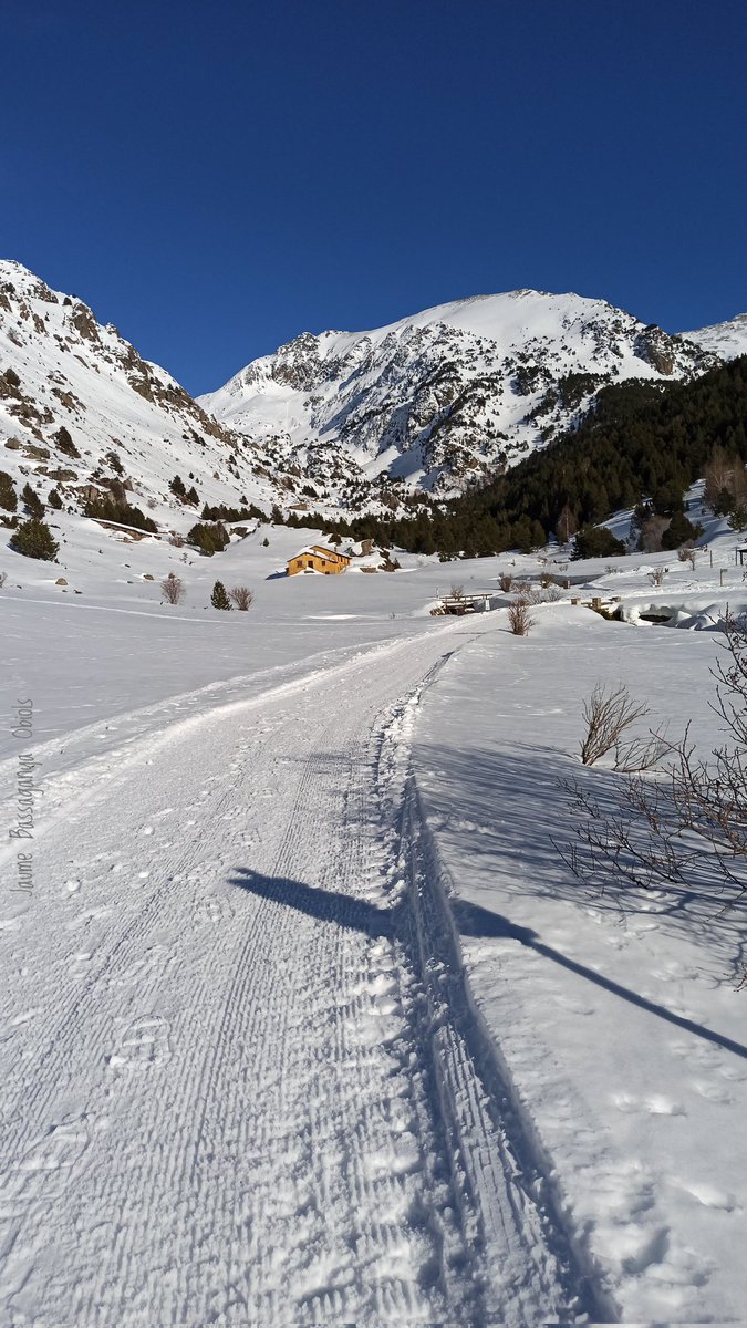 JaumeBassObiols's tweet photo. Molt bona nit a tothom!!!
#ValldIncles #Canillo #Andorra #Pirineu #Neu https://t.co/npnJvS06oi