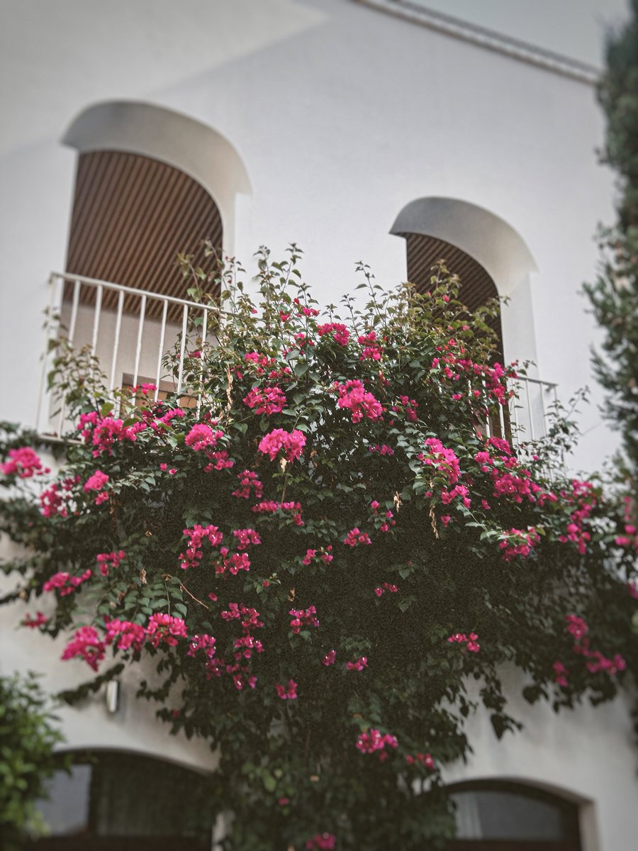 28.F | Habla bien, habla andalú.