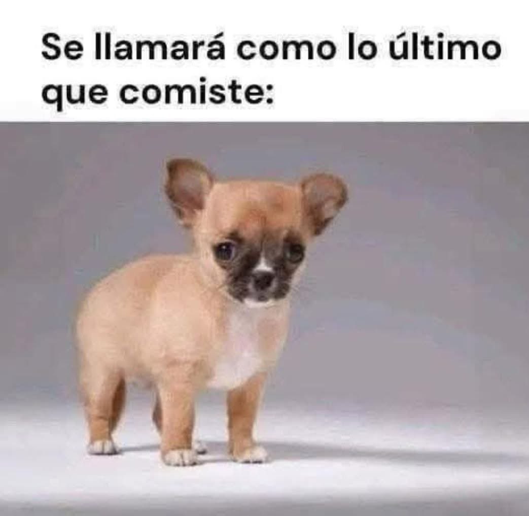 Diego Royet tweet media