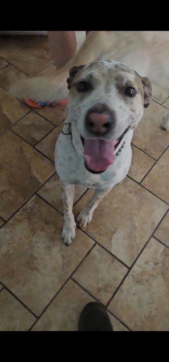 Frogdalf tweet media