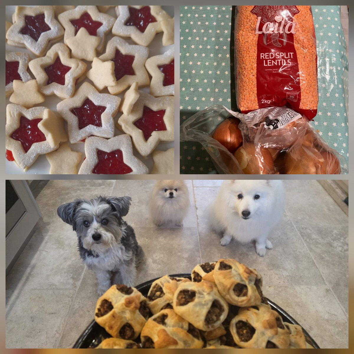 fars_sanctuary's tweet photo. #TeamFARS has been VERY busy today, prepping for tomorrow's afternoon tea event at St Nicholas Church, Warwick π΅π«βοΈπ₯ͺπ§πͺβͺοΈ
We are SO looking forward to seeing everyone ππ€π
#VeganAfternoonTea
#SanctuaryFundraiser
#Warwick https://t.co/j3lPoyVX5q