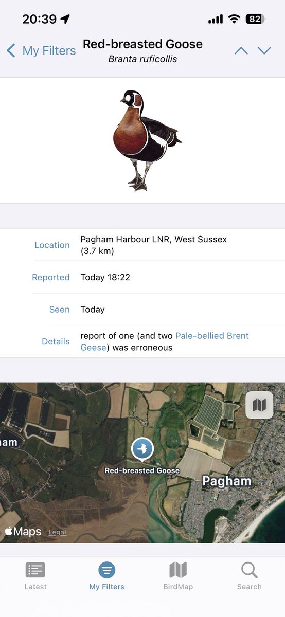 Marc Read tweet media