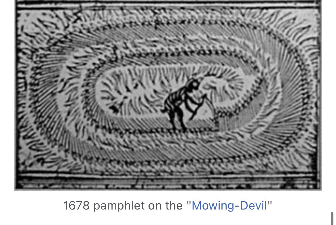 charlotte tweet media