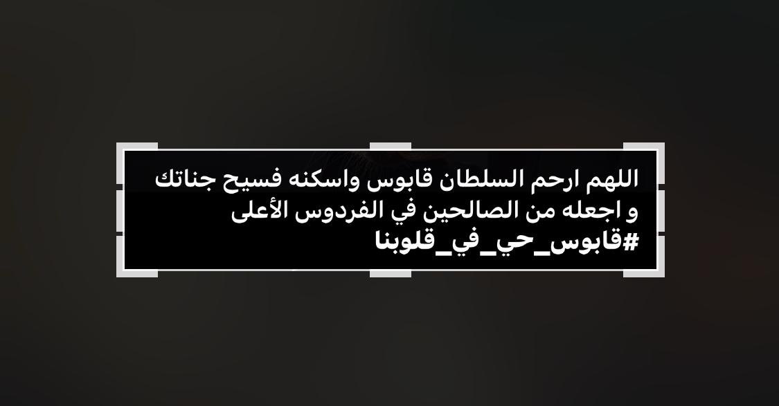 ابوفهد tweet media