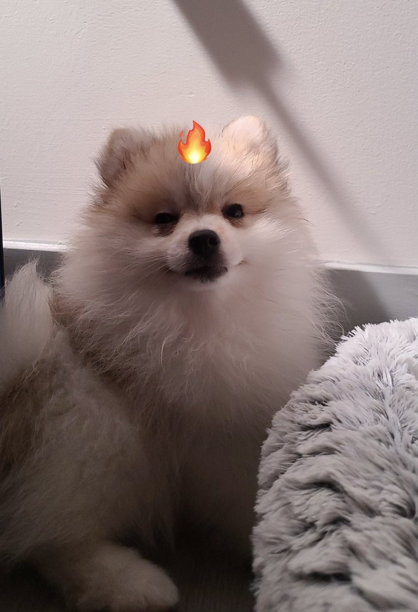 noe ⭐️ tweet media