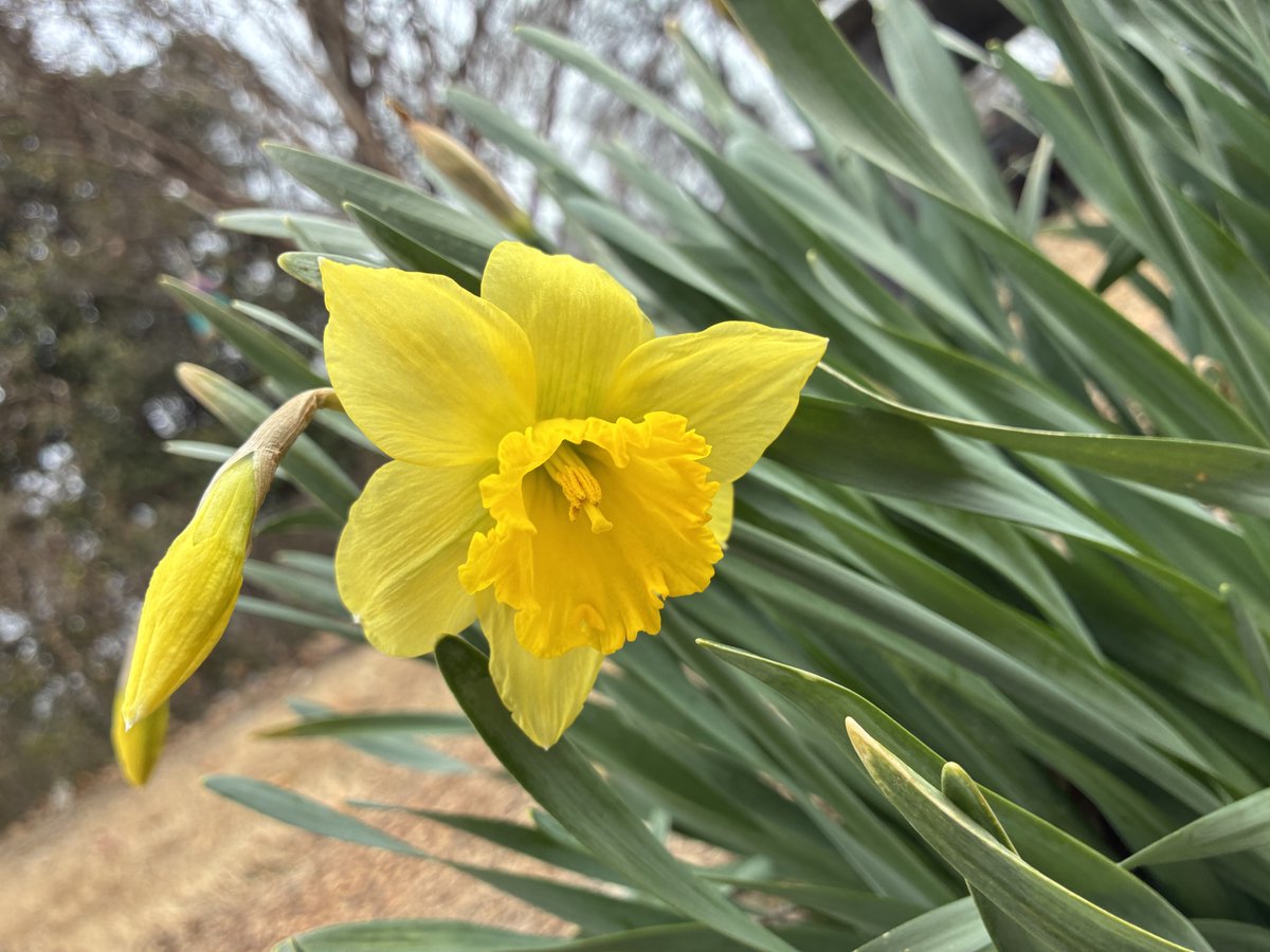 Christian Brothers U tweet media