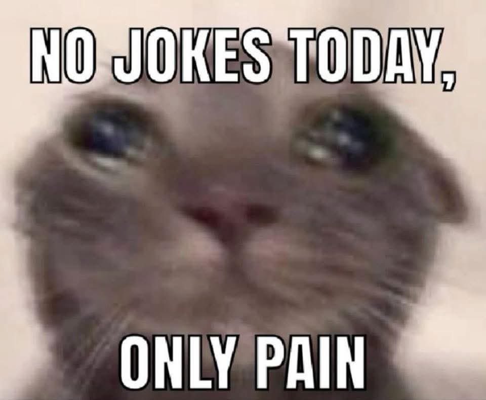 ✮ น้องบิ้บตัวจริง 𓈒 * (@bibxloon) on Twitter photo 