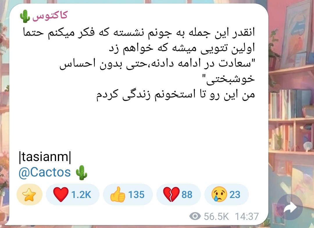 🐾شهرِ چه زادی؟🎻 tweet media