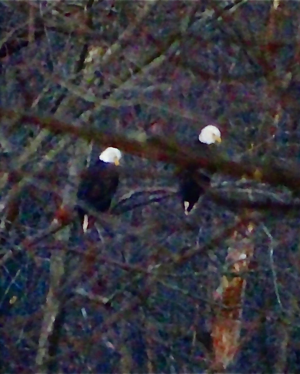 DMilnerPhoto tweet picture