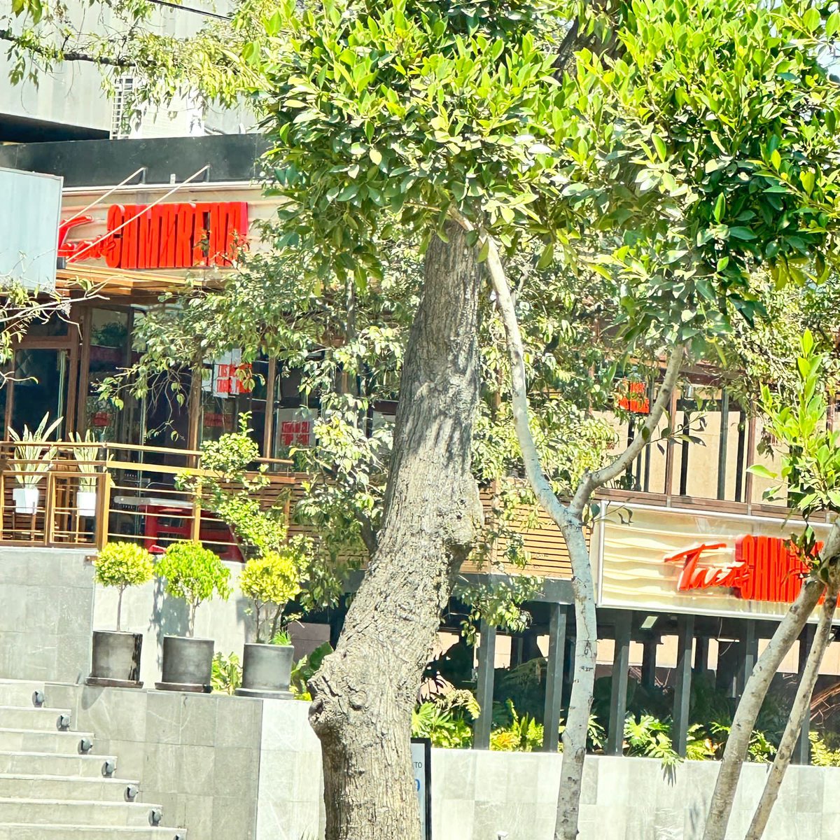 Proliferación de negocios en Palmas lomas de Chapultepec Miguel Hidalgo CP11000 que operan hasta  altas horas de la MADRUGADA. Quien da autorización a estos abusos <a href="/locatel_mx/">@locatel_mx</a> <a href="/ClaraBrugadaM/">Clara Brugada Molina</a> <a href="/MHcesac/">MH CESAC</a> <a href="/AlcaldiaMHmx/">Alcaldía Miguel Hidalgo</a> <a href="/VecinosLomas/">VecinosLomas</a> <a href="/cclomaschapulte/">Lomas Chapultepec</a>  LOS VECINOS DE LA COLONIA DEBEN