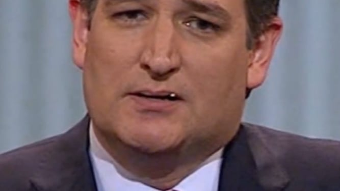 New England Veteran tweet media